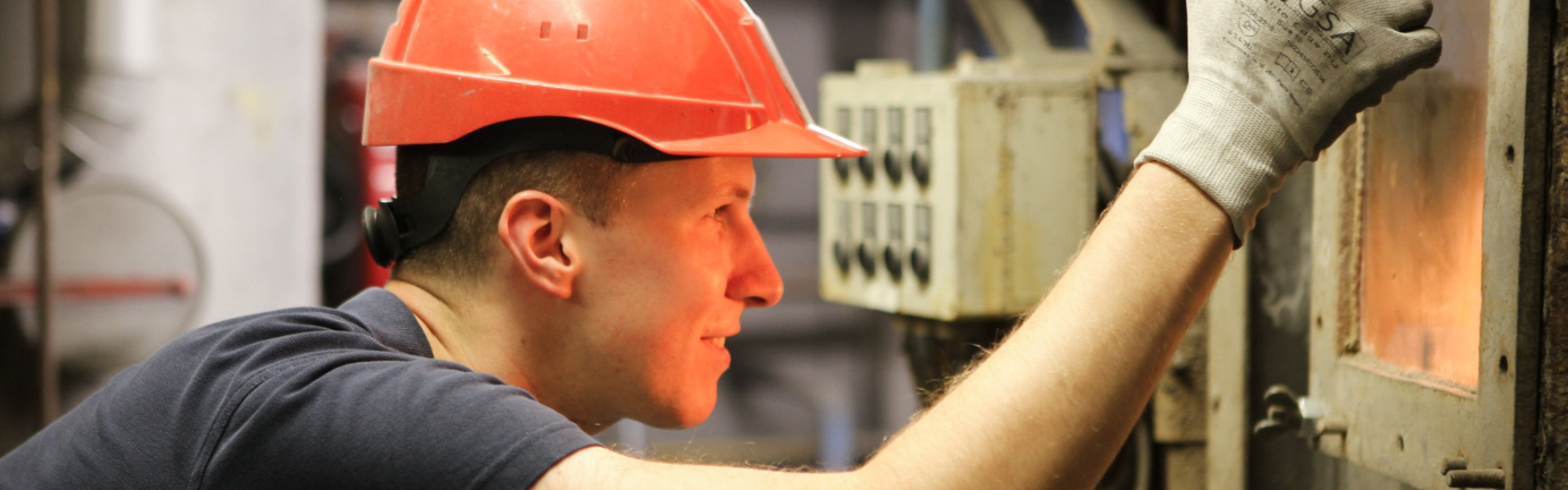 verbrandingsinstallatie - Thierry